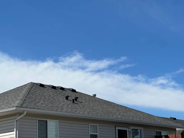 Roof Coating Services in Pike Creek, DE